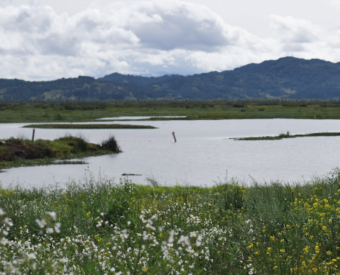 Lagunas_Mesa de trabajo 1 copia 5